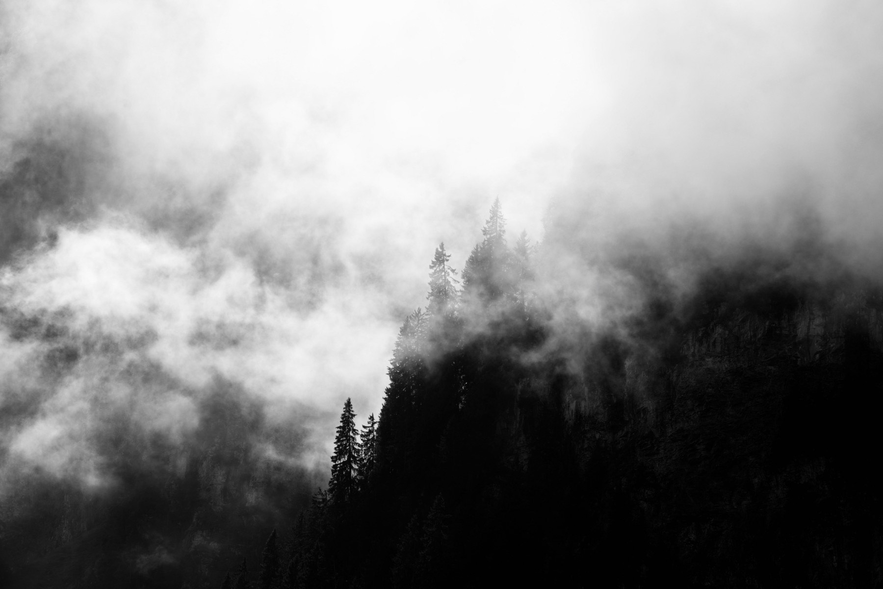 Mystic Tree III